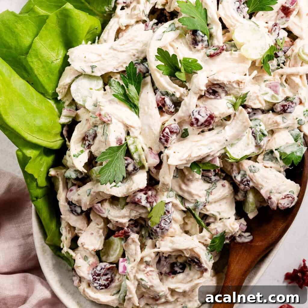 cranberry chicken salad on platter with spoon and lettuce on the side