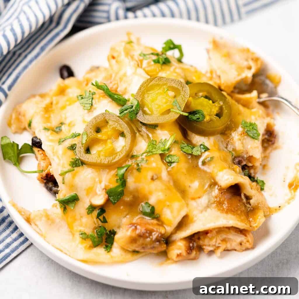 chicken enchiladas on white plate