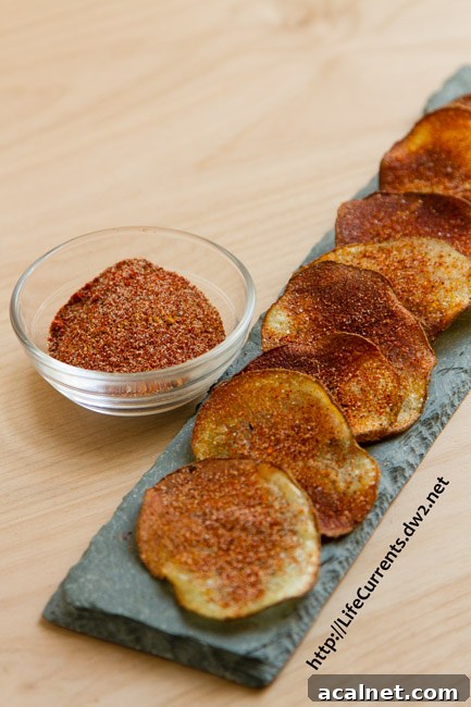 Potato Chips with spice mix on a tray