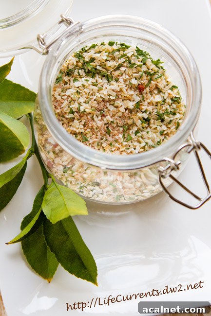 Homemade Onion Soup Mix by Life Currents