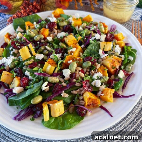 roasted delicata in a salad on plate
