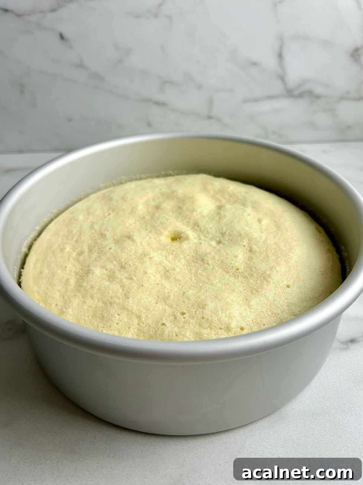 steamed cake resting in cake pan.