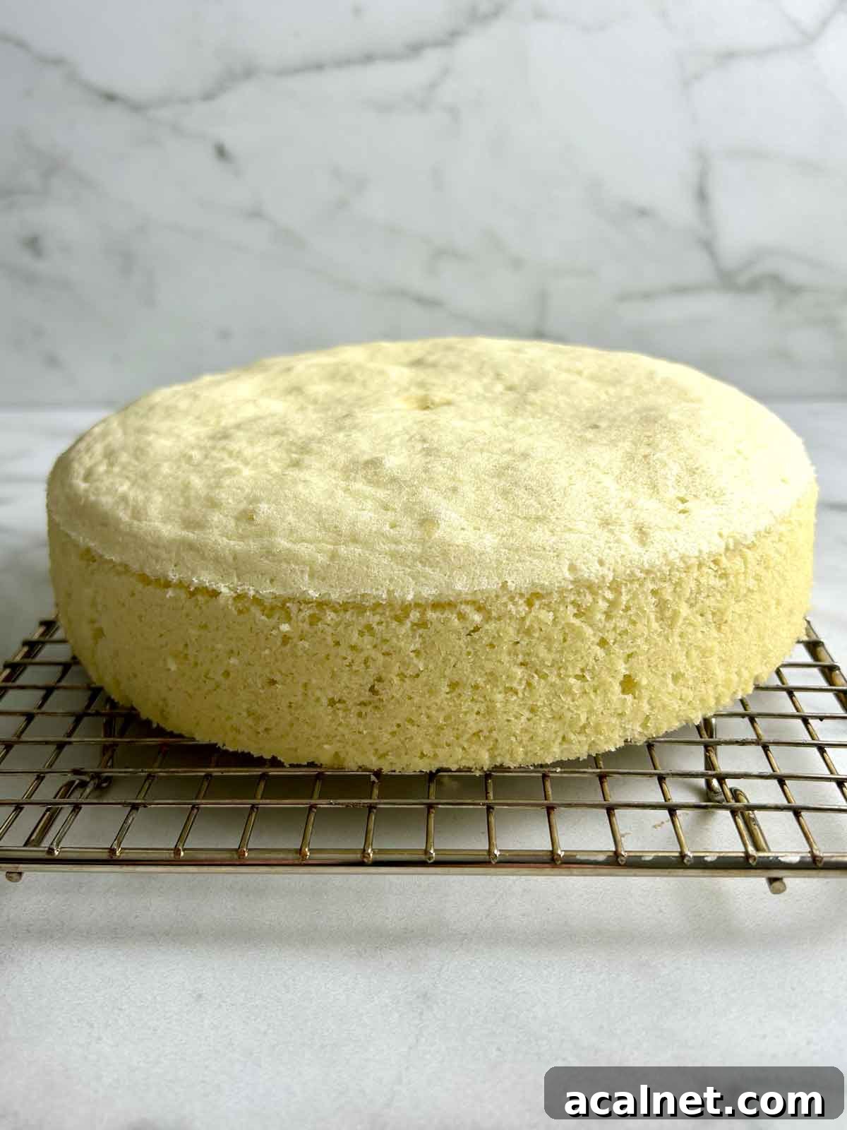 steamed cake resting on wire rack
