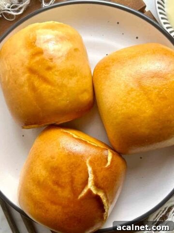 overhead shot of fried mantou in plate with side of condensed milk