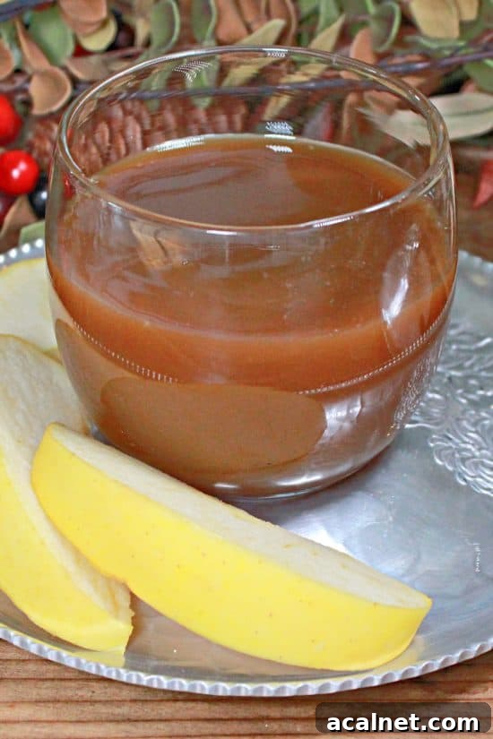 Made with just a few simple ingredients, this topping is perfect for drizzling over ice cream, swirling into brownies, or stirring into your latte.
