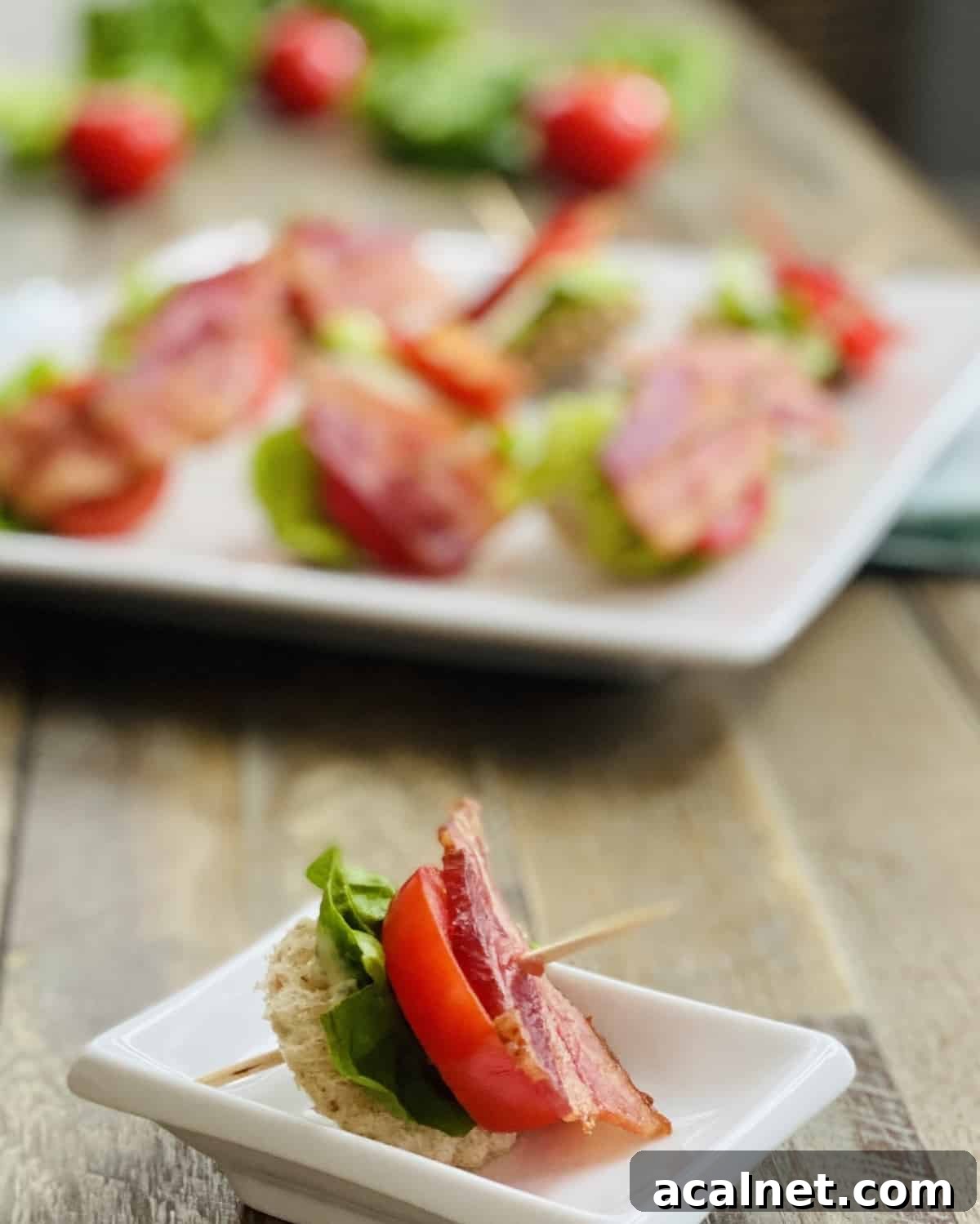 A single toothpick with bacon, lettuce and tomato and a plate.