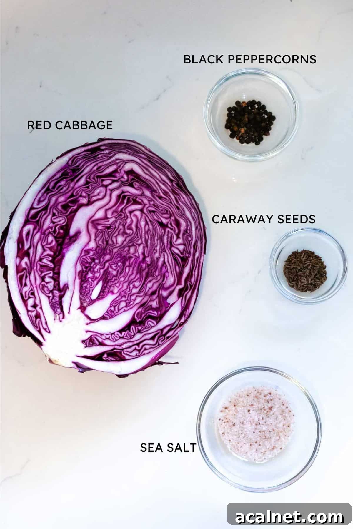 labeled ingredients for red cabbage kraut.