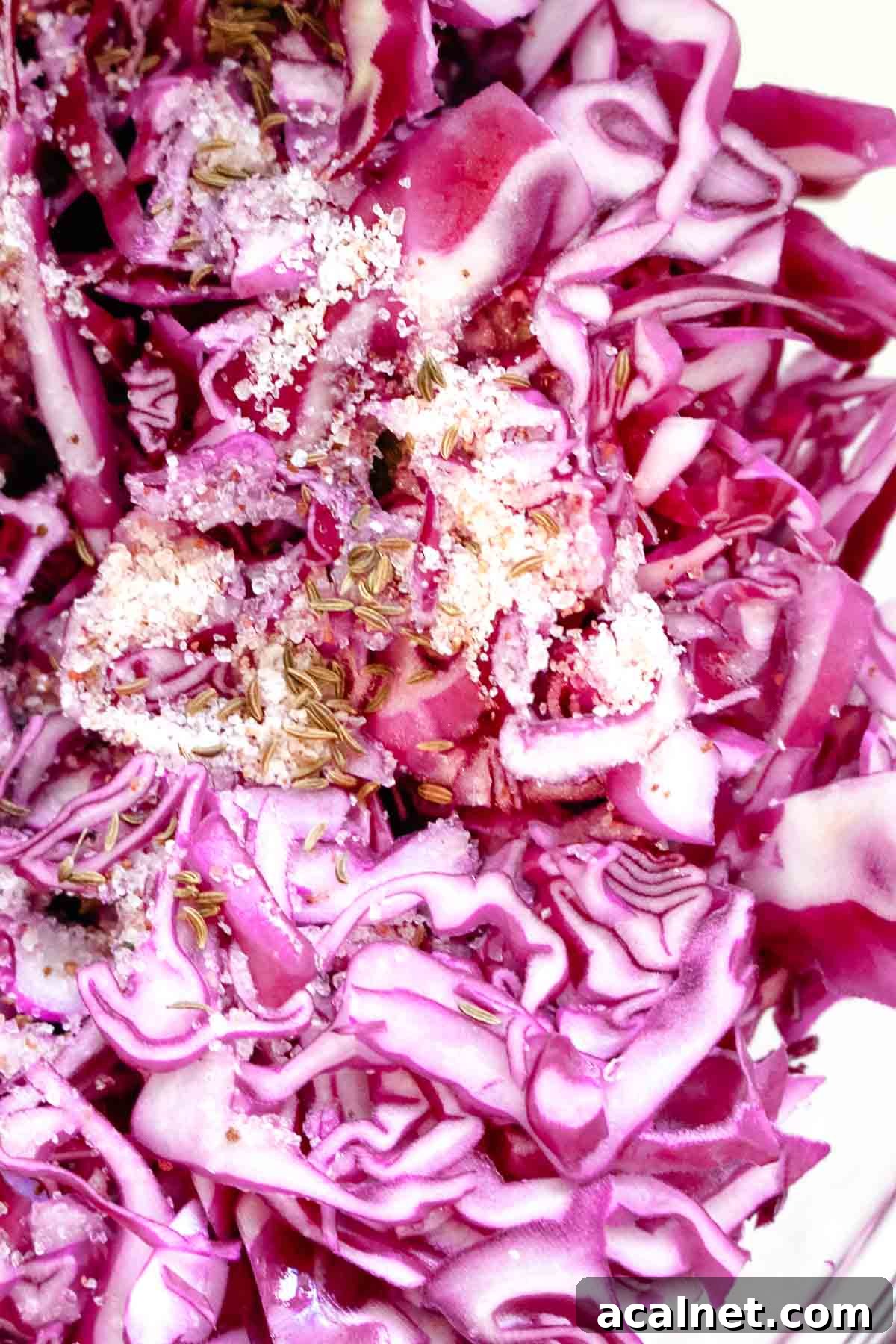 salt and caraway seeds added to cabbage