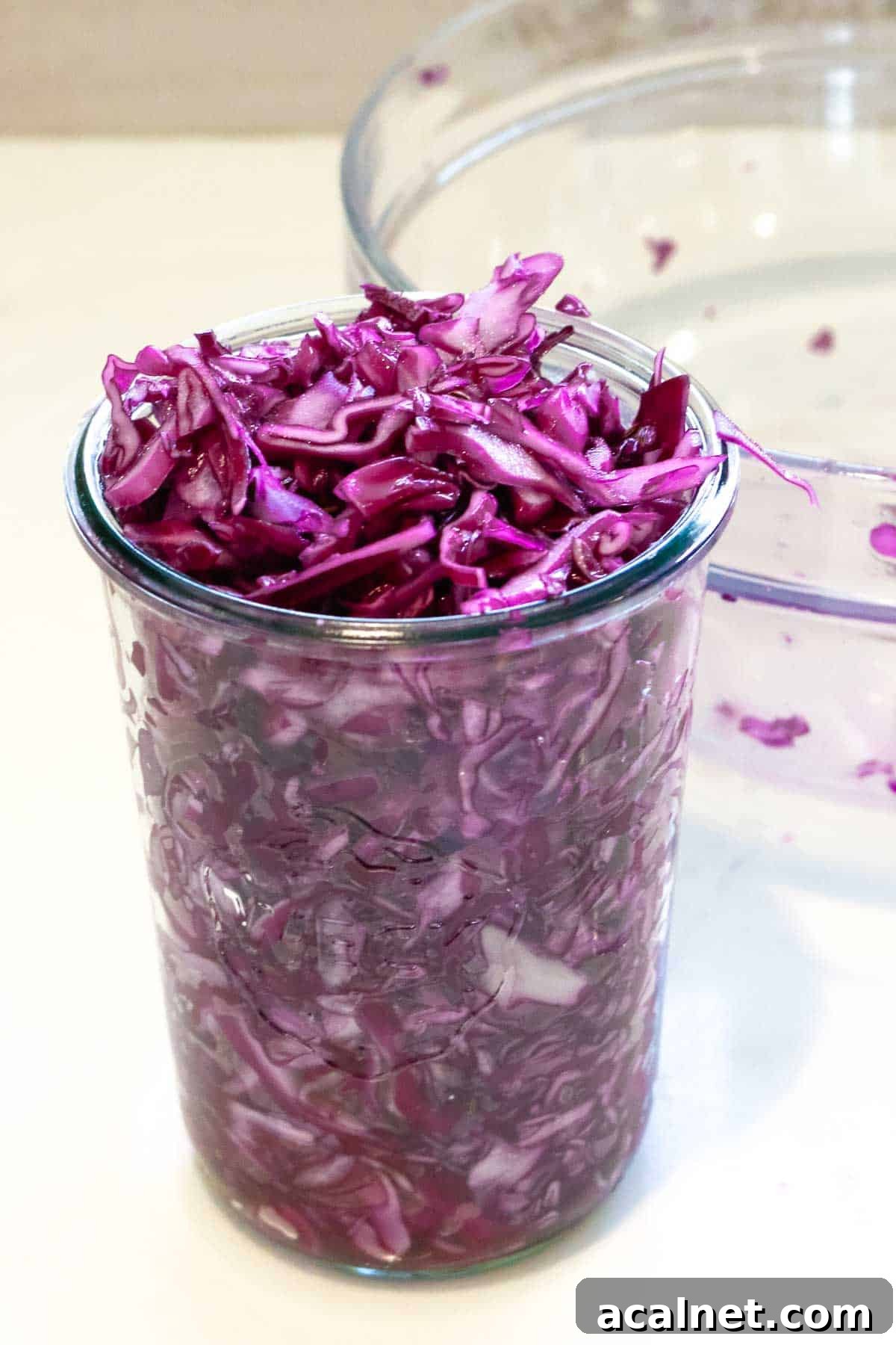 red cabbage transferred to weck jar.