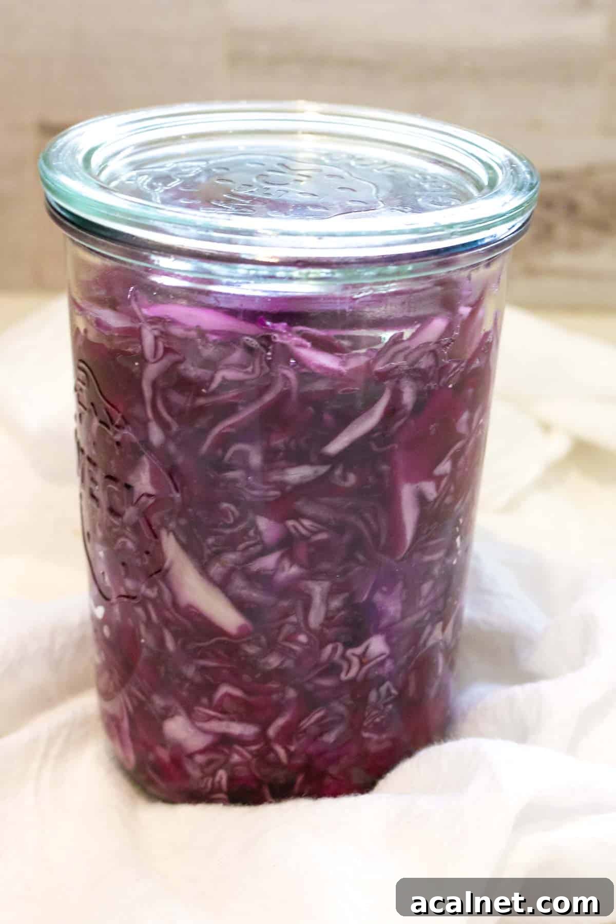 red cabbage in a jar with lid.