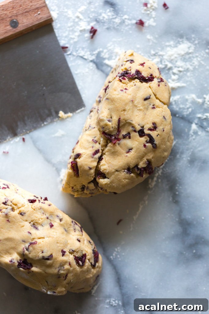 Glazed Hibiscus Shortbread Cookie dough