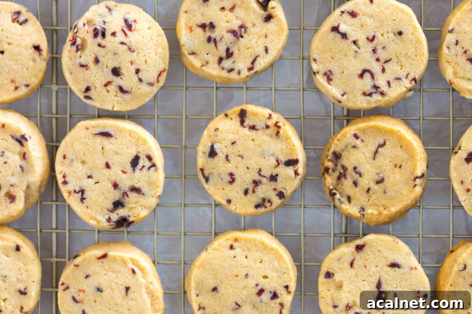 Glazed Hibiscus Shortbread Cookies cooling
