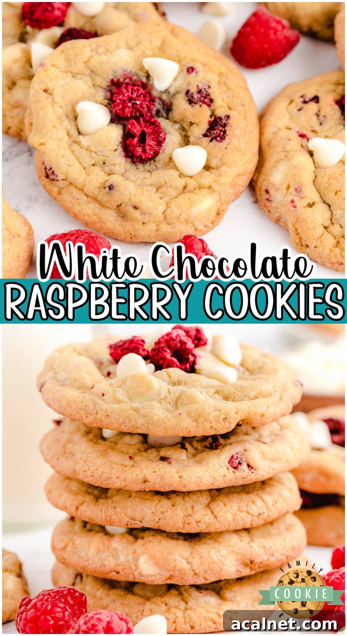 Raspberry White Chocolate Cookies are soft & buttery cookies packed with white chocolate chips and raspberries!