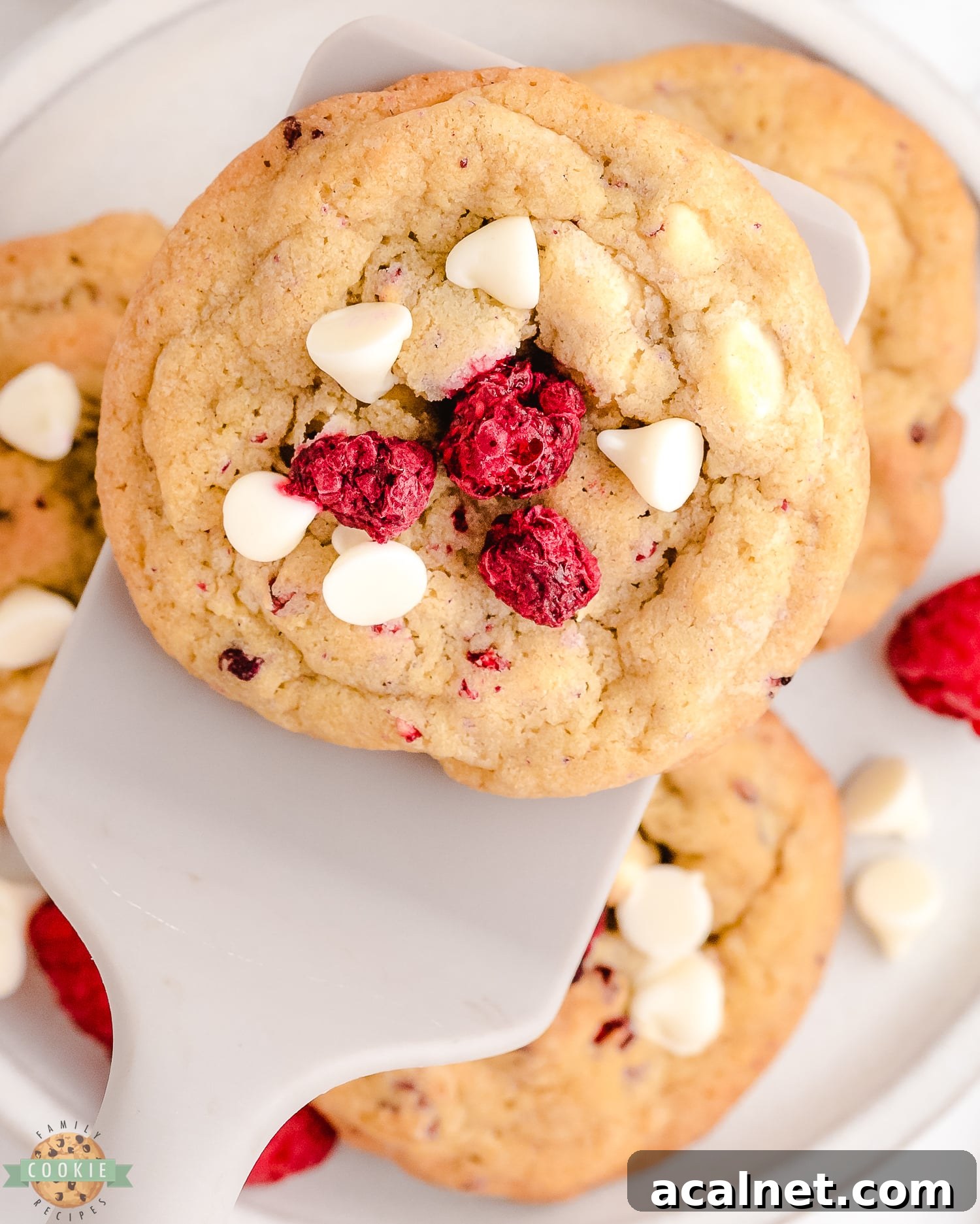 serving a raspberry cookie