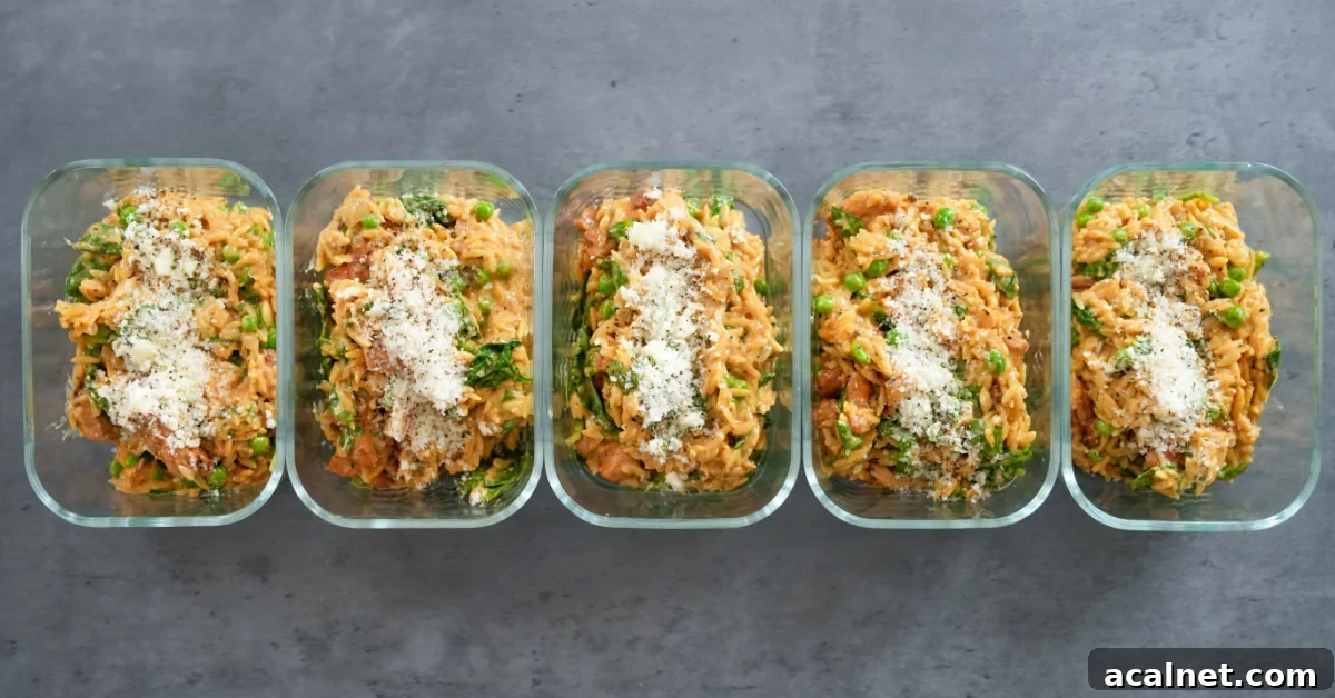 High-Protein Lemon Chicken Orzo Recipe for Quick Weeknight Meals 2 Lemon Chicken Orzo Meal Prep #1