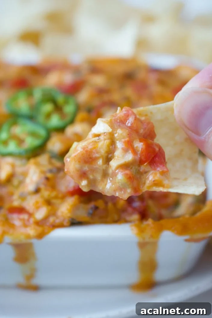 Paleo Chicken Jalapeno Dip