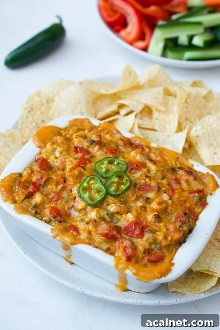 Paleo Chicken Dip 
