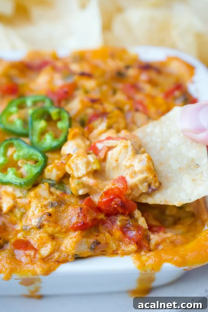 Paleo Chicken Jalapeno DIp