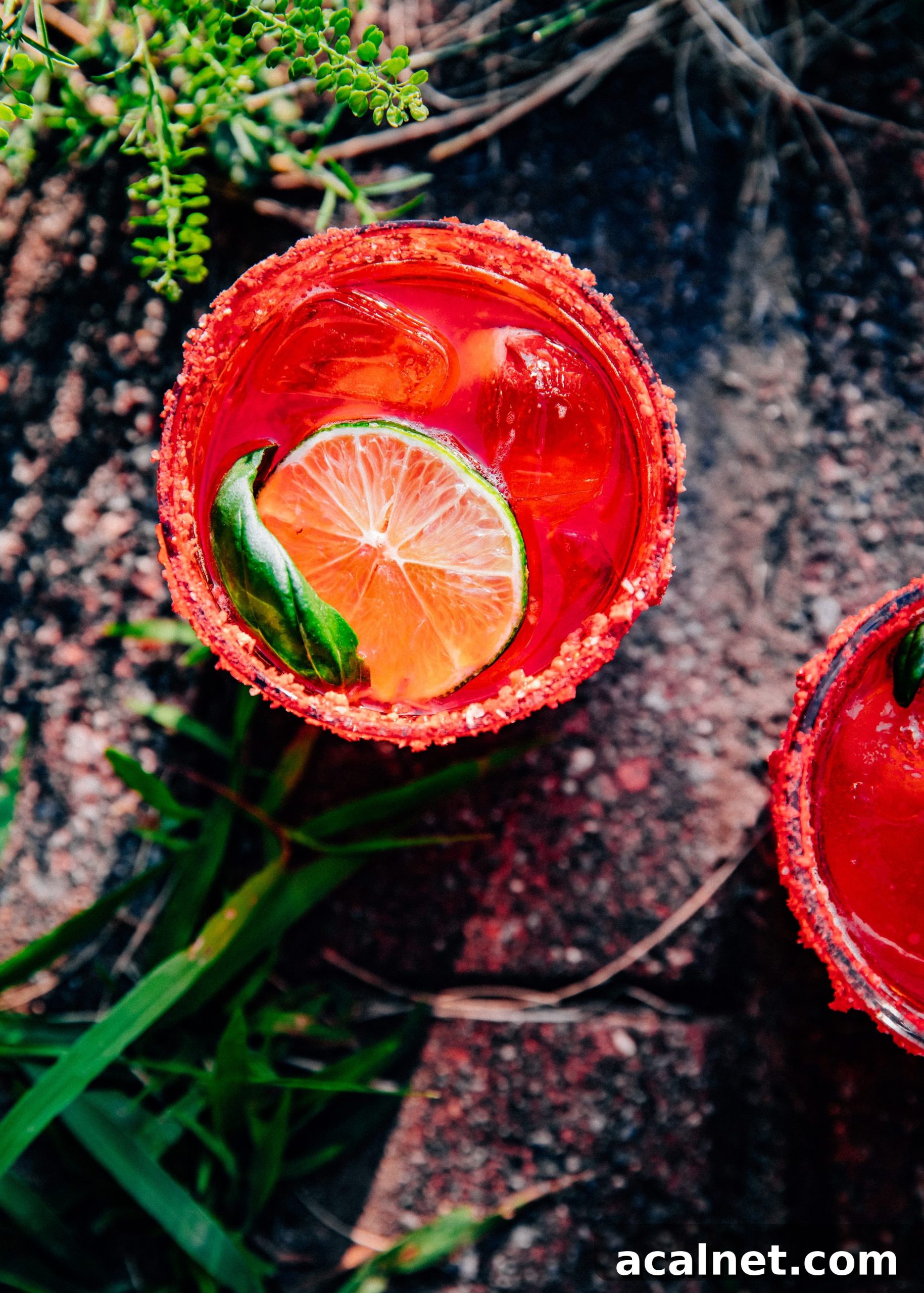 Strawberry Basil Margaritas | Well and Full | #summer #recipe #cocktail