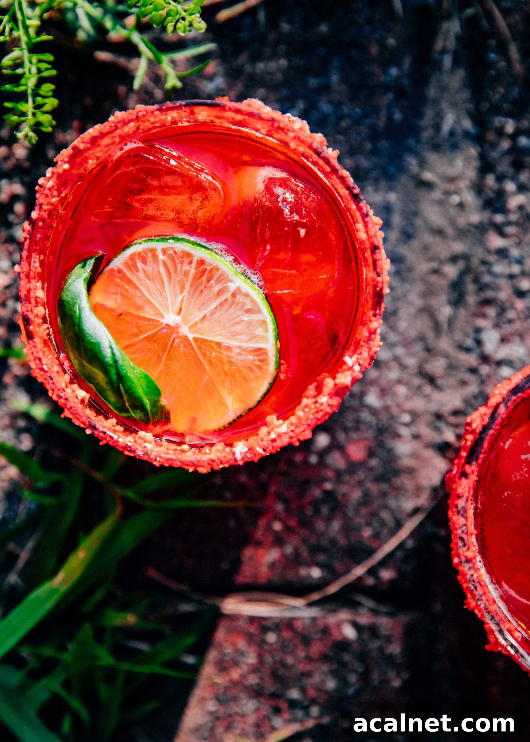 Strawberry Basil Margaritas | Well and Full | #summer #recipe #cocktail