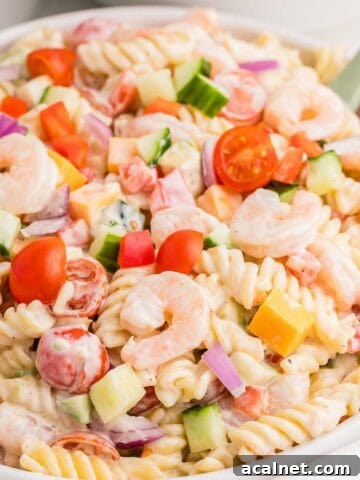 Close up of creamy shrimp pasta salad with rotini pasta, shrimp, cherry tomatoes, cucumber, bell pepper, red onion, avocado, and cheddar cheese coated in dressing.