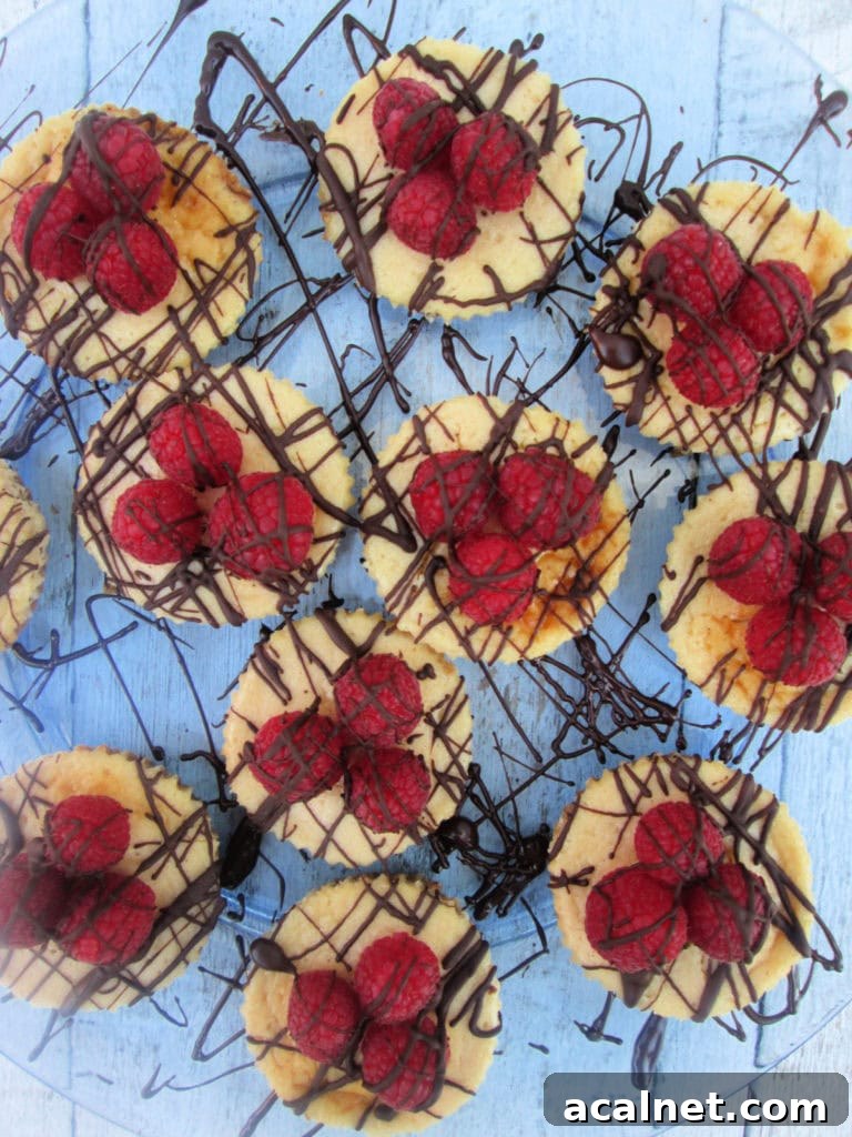 MINI CHOCOALTE TOPPED RASPBERRY CHEECAKES ON A SERVING PLATE