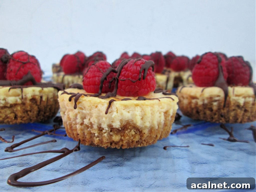 CLOSE UP VIEW OF THE MINI CHOCOLATE TOPPED RASPBERRY CHEESECAKE