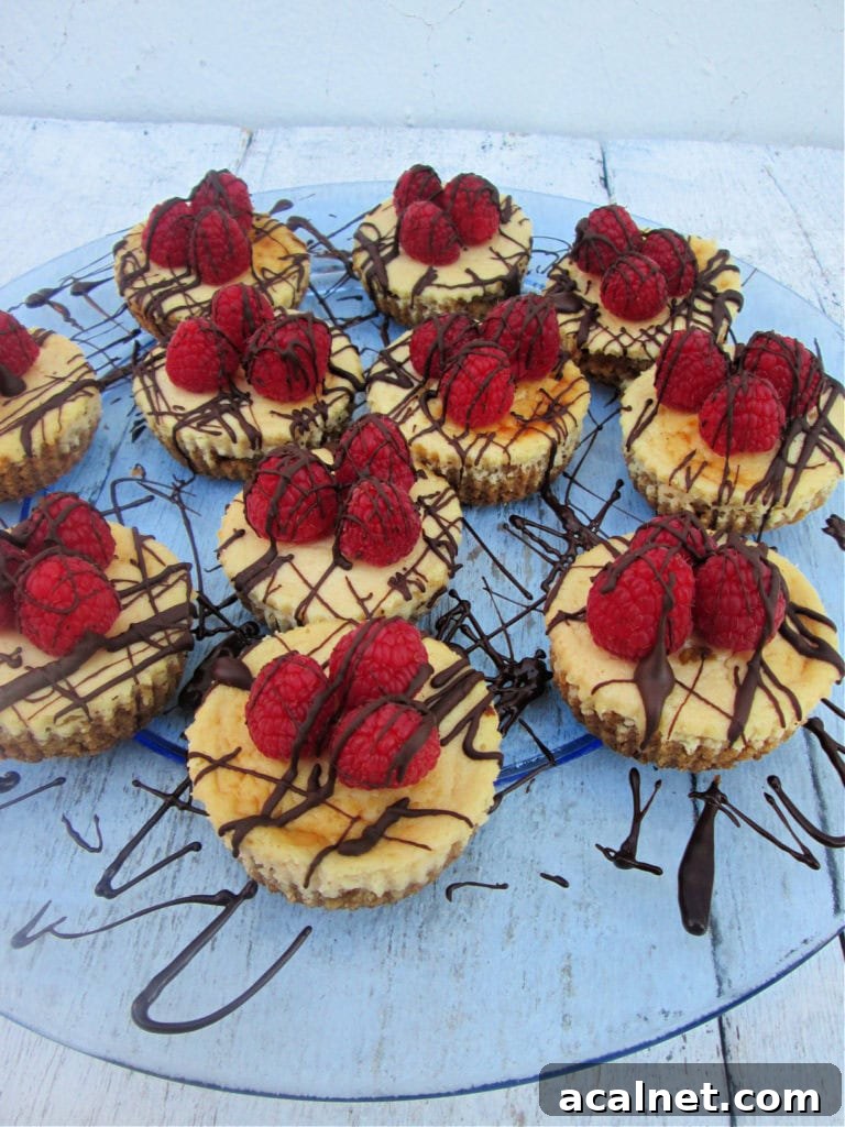 MINI CHOCOLATE TOPPED RASPBERRY CHEESECAKE ON A SERVING DISH