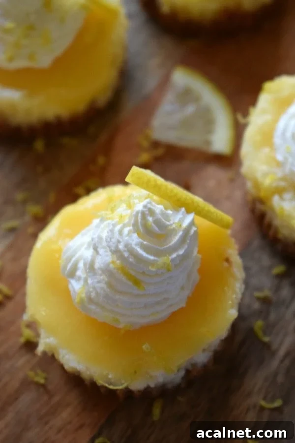 close up of mini lemon cheesecakes