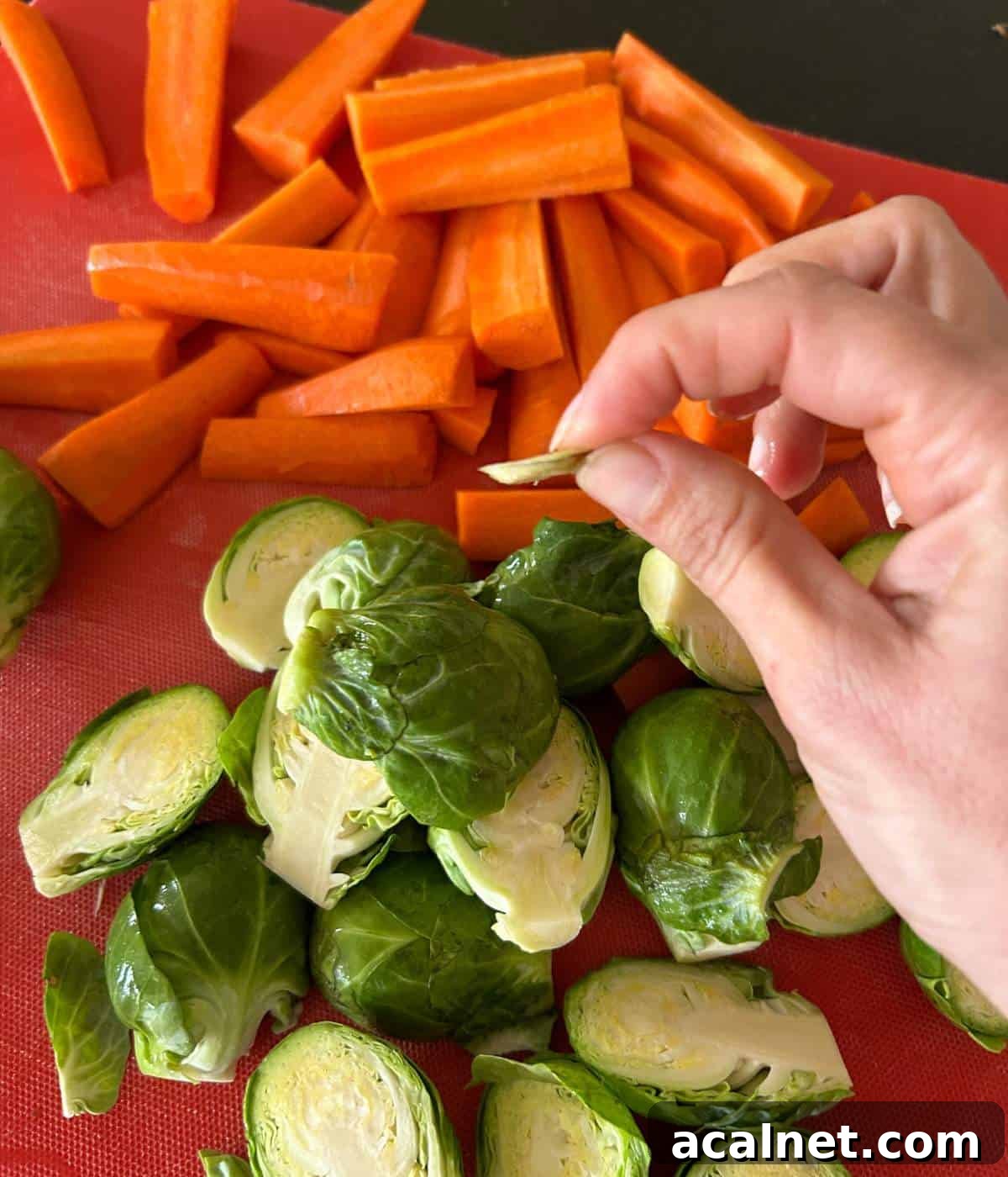 Prepping vegetables and hand showing how much of the base of brussels sprout to cut.