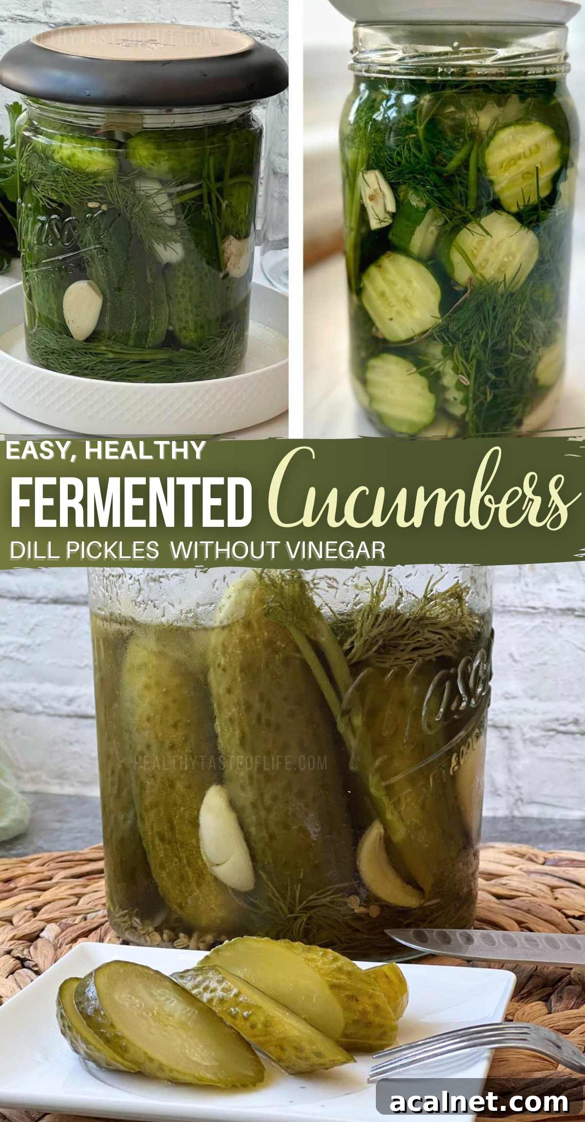 The authentic taste of naturally fermented cucumbers - vinegar-free dill pickles recipe.