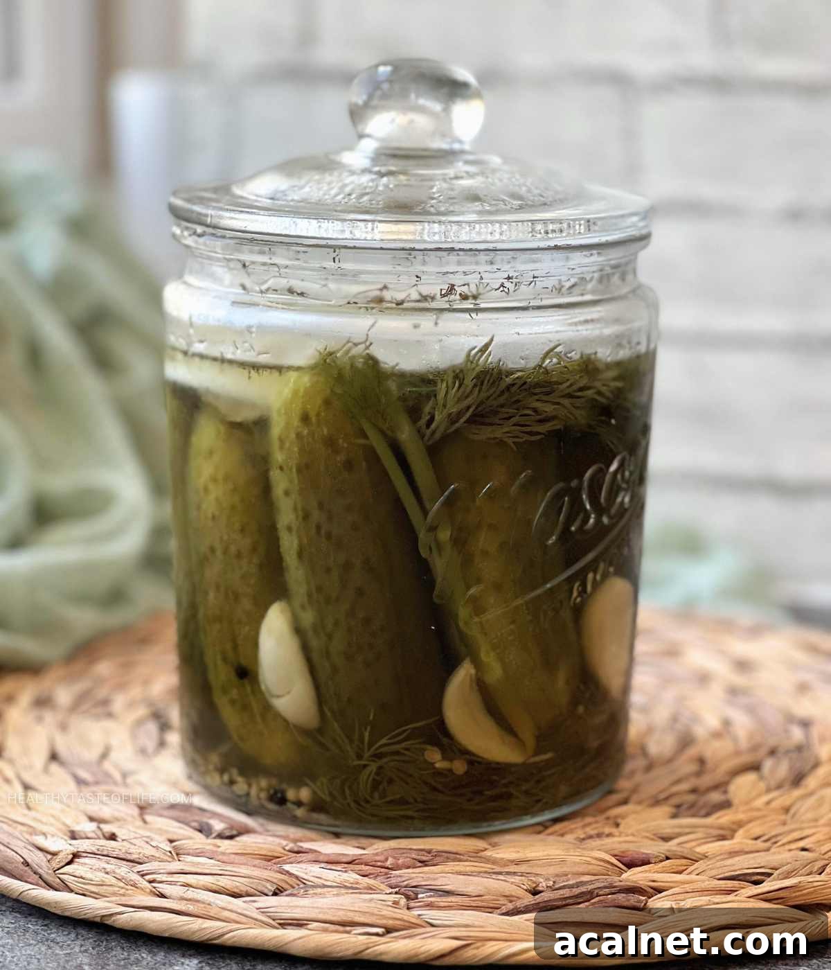 fermented cucumbers pickled