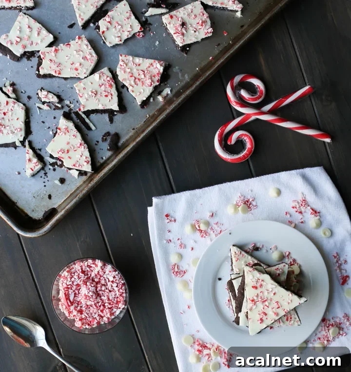 Overhead view of baking sheet filled with peppermint chocolate cookie bark with serving plate and peppermint candies