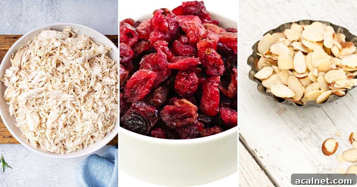 Cranberry Turkey Salad with Crunchy Apples and Pecans 4 img 17265 3