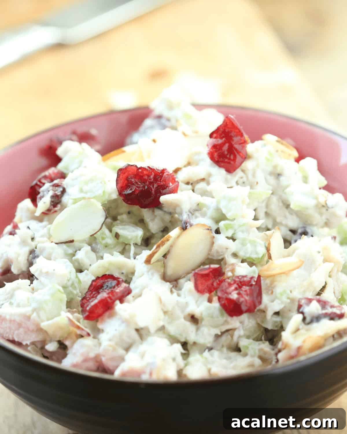 Cranberry Turkey Salad with Crunchy Apples and Pecans 5 A close up bowl of the turkey salad.