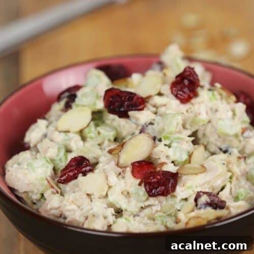 Cranberry Turkey Salad with Crunchy Apples and Pecans 6 A bowl of Cranberry Turkey Salad mixed with celery, sliced almonds, and dried cranberries sits on a wooden surface.