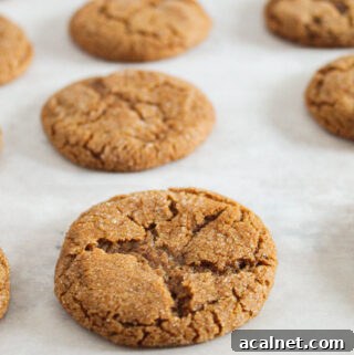 gluten free molasses cookies on a cookie sheet.