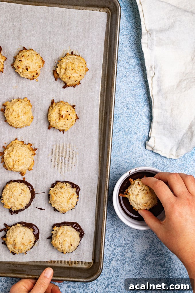 Baked coconut macaroons on a baking sheet. A hand is dipping one of the macaroons into dark chocolate.