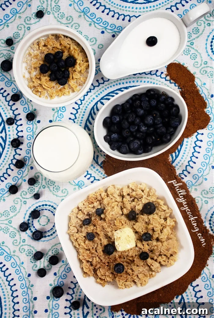 Alice Mae’s Old-Fashioned Oatmeal Recipe for Creamy Morning Oats 5 Old-Fashioned Quaker Oatmeal With Milk & Cinnamon