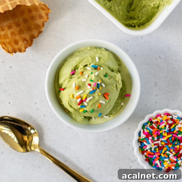 a small white bowl with a scoop of homemade matcha ice cream topped with rainbow sprinkles, viewed from above. Around the ice cream are waffle cones, a gold spoon, and a bowl of sprinkles