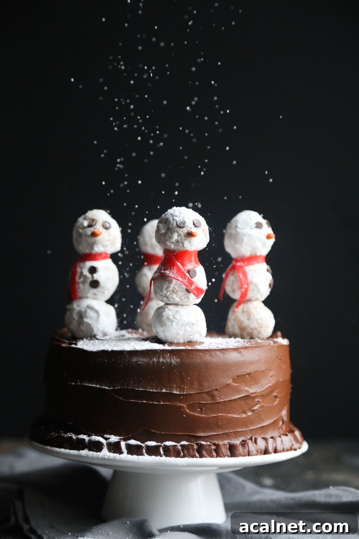 This easy snowman cake tutorial turns a chocolate layer cake into a winter wonderland, topped with adorable snowmen made from mini donuts! Side view of a snowman cake being dusted with powdered sugar from above.