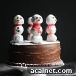 Side view of a snowman cake against a dark background.