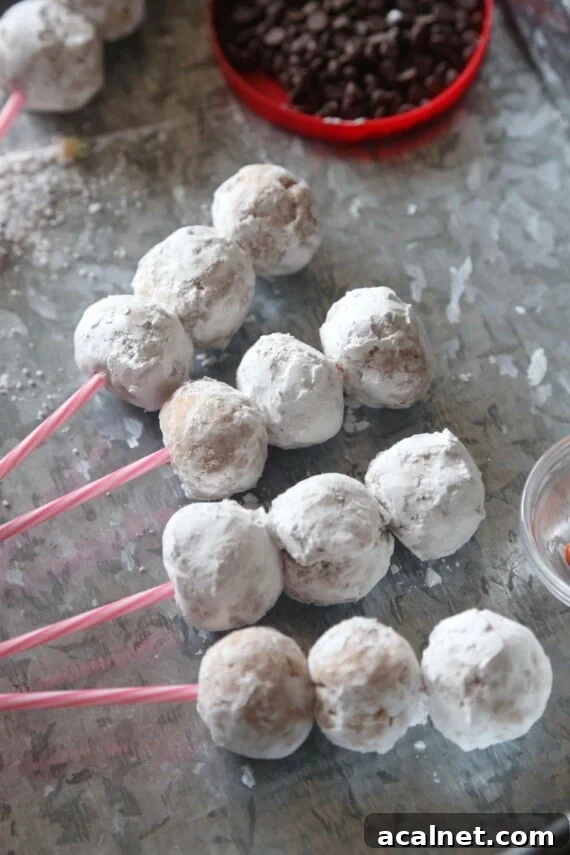 Thread the donuts onto the sticks. Powdered donut holes threaded onto four cake pop sticks, laying on their side on a countertop.