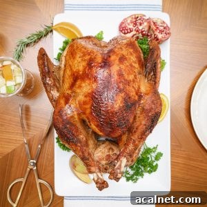 Southern Soul Food Mother's Day Dinner Ideas to Impress 13 Black Folks Southern Turkey Recipe