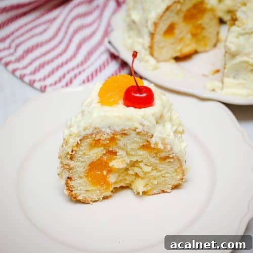 Southern Soul Food Mother's Day Dinner Ideas to Impress 26 Southern Soul Food Pig Pickin Cake