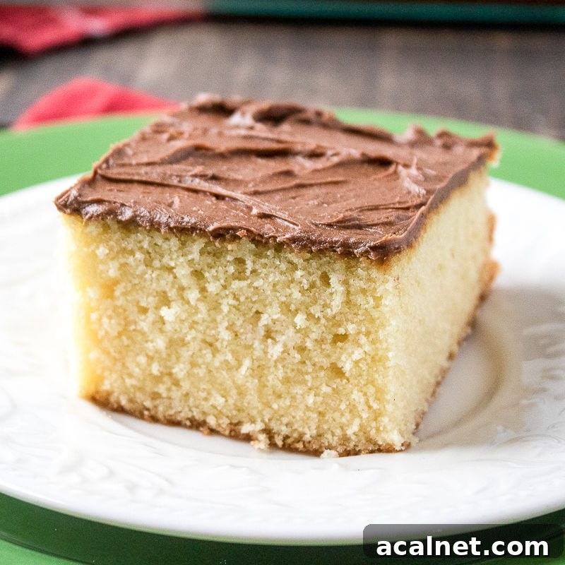 cake with chocolate frosting