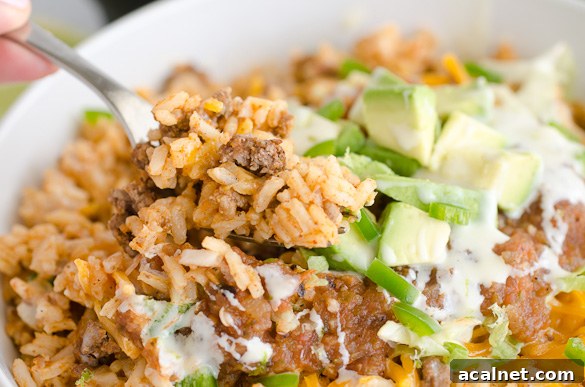 spoonful of taco rice
