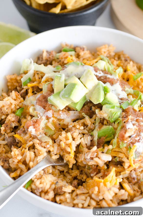 taco rice bowl