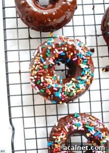 Gluten-free & Vegan Double Chocolate Baked Donuts