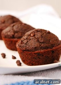 Double Chocolate Muffins